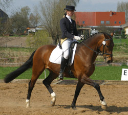Berit Schaepe gewann auf Dontardo in Spoitgendorf beide L-Dressuren. Foto: Wego