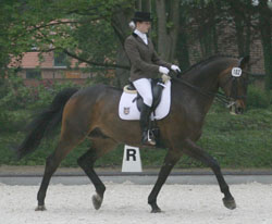 Die höchste M-Dressur in Pinnow sicherte sich Anne Stolzenburg (Zierow) auf Ragano.