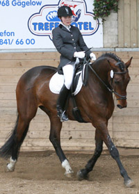 Hippothek de