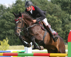 Mit Voigtsdorfs Quonschbob ritt André Thieme im polnischen Sopot zweimal auf den 2. Platz in den Youngster Springen. Foto: Wego