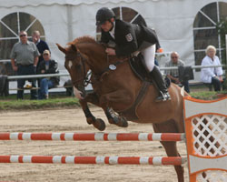 Mit zwei S-Siegen auf Woody kehrte Lars Köhler von den LVM Masters aus Hagen zurück. Foto: Wego