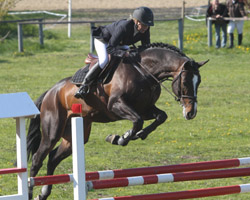 Mit einem Sieg auf dem fünfjährigen Consotho in einer Springpferdeprüfung Klasse L kehrte Astrid Dreier aus Böbs zurück. Foto: Wego