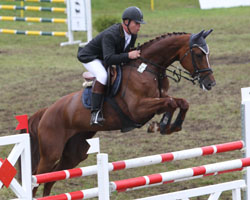 Die sechsjährige Mecklenburger Stute Dyleen v. D'Olympic / Grafenstein aus der Zucht von Frank Rudolph ist mit Michael Nagel für das Bundeschampionat qualifiziert. Fotos: Jutta Wego