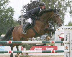 Zu den heißen Favoriten in Sommerstorf gehört auch Felix Hassmann aus Lienen - hier beim X. KMG-Cup auf Horse Gym's Kira. Foto: Jutta Wego