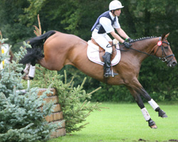 Unter 68 Stratern belegte Andreas Brandt im niedersächsischen Ströhen mit der Stute FRH Escada JS in einer CIC*-Prüfung  den 5. Platz. Foto: Wego