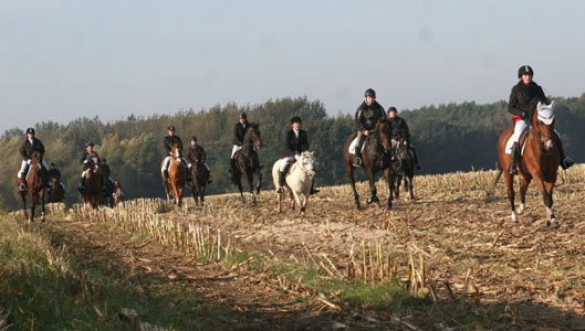 Reitjagd in Blowatz - ein herrlicher Tag in schöner Natur. Fotos: Jutta Wego