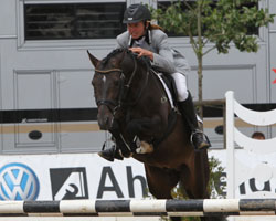 Der Reitponyhengst CANNAVARO v. FS Champion de Luxe / Neckar, den Hela Heiden 2011 bereits sehr erfolgreich in Springpferdeprüfungen geritten hat, wurde mit Wertnote 8,13 drittbester Hengst beim 30-Tage-Test in Neustadt (Dosse). Foto: Jutta Wego