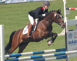 Das fünfjährige Mecklenburger Pony Vivius vM kam mit Franziska Lass ins Finale und wurde Neunter.