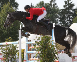 Zu einem Sieg in der Youngster Tour kam in Kiel auch Hauke Luther mit dem Hengst Callboy (hier beim Turnier in Sommerstorf). Foto: Wego