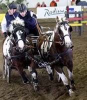 Diesmal ließ Otto Schmicker Anja Krüger hinter sich und gewann die Ponykonkurrenz in Klasse M.