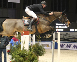 Die 1. Qualifikation zum Großen Preis gewann André Thieme auf Nacorde.