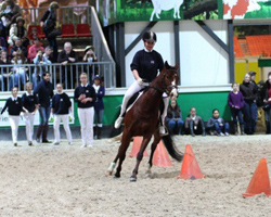 Beim Prüfungsteil Mounted Games war unser zugeloster Reitpony Wallach ganz schön nervös. Foto: Lohrmann