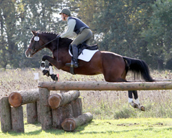 Holsteiner Caress v. Casall / Heraldik xx beim 70-Tage-Test in Redefin 2011 (Gesamtnote 7,38). Fotos: Wego  