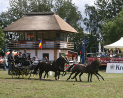 Auch das Turnier in Blowatz wird Standort einer Qualifikation im W. Seineke PARTNER PFERD CUP. Foto: Jutta Wego