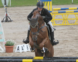 Der Trakehner Hengst Dramatiker - hier mit Ramona Schilloks - hat sich zum Stempelhengst des Gestütes Ganschow entwickelt. Foto: Jutta Wego