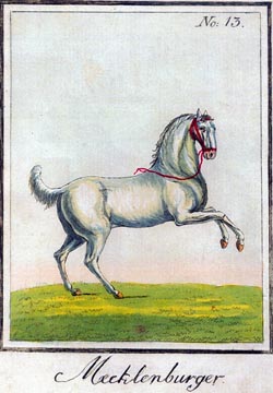 Galerie der Thiere-Pferde, Dresden 1801. Repros: Gründel