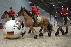 Vier Tage lang Pferdefußball  mit den Brücker Baptist, Falko, Nero und Ottokar in der Leipziger Messehalle 3. Fotos: Margot Schöning