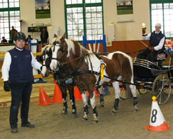 Der 16-jährige Otto Schmicker und Vater Axel freuen sich über den Gewinn des Hallenpokals bei den Ponyfahrern. Foto: Lohrmann