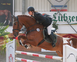 Ramona Schilloks reitet zwei erstklassige Cypriano-Nachkommen, darunter die vermögend springende Cypriana - hier mit 8,2 bewertet. Foto: Jutta Wego