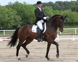 Seinen ersten S-Sieg holte sich der siebenjährige Hengst Repertoire mit Ronald Lüders in Zierow. Foto: Wego