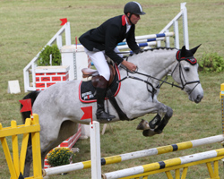 André Thieme war der erfolgreichste Reiter in Plau-Garz und gewann mit Ramona de Flobecq ein M-Springen. Foto: Wego