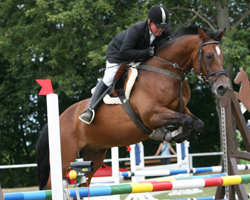Detlef Scheller gewann als reiner Amateur mit Quenten ein L-Springen. Foto: Wego