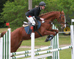 Das Springen um den Steffen-Wiek Gedächtniscup gewann Anne Christin Quaas aus Arkona auf Pirelli. Foto: Wego