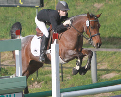 Das Springen um den IG-Ponycup gewann Nike Sophie Forler auf Mette. Foto: Wego