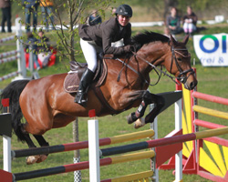 Steffi Rauschenberg gewann in Demmin das M-Springen am Samstag auf Liera und wurde am Sonntag Zweite. Foto: Wego