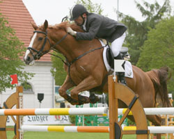 Ralf Schneider war bei der "Pferd International" in München am Start und wurde in der Mittleren Tour auf Rabea Zweiter. Foto: Wego
