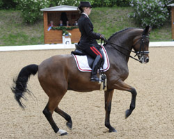 Valentina Truppa piaffiert zum Sieg. Foto: Schreiner