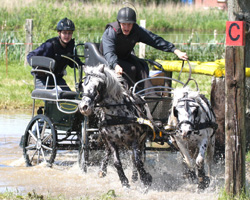 Landesmeister bei den Ponyfahrern wurde Patrick Müller aus Plöwen mit Mischka und Karino. Foto: Lohrmann