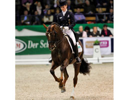 Helen Langehanenberg und der Hengst Damon wurden  Hill wurden im Grand Prix von s'Hertogenbosch mit 76,125% Zweite.