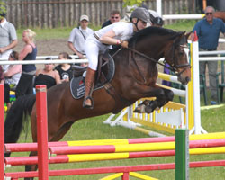 Franziska Lass hat das sechsjährige Mecklenburger Pony Vivus vM in Norderstedt mit Wertnote 8,5 für das Bundeschampionat qualifiziert. Foto: Wego