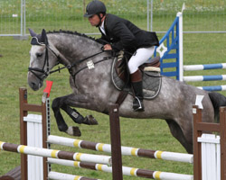 Auf dem erst sechsjährigen Mecklenburger Landeschampion Cevaro hat Michael Nagel aus Gadebusch das M-Springen in Kirch Mummendorf gewonnen. Foto: Wego