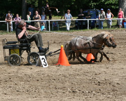 Zum Publikumsmagnet wurde wieder das Hindernisfahren an dem auch Dieter Rohde mit seinen Ponys Pit und Pat teilnahm. Foto: Jutta Wego 