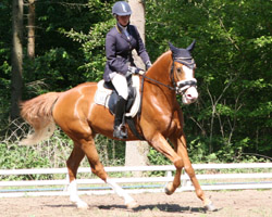 Hanka Pätzold (RSC Wittow) gewann auf Peppi de la Corte die Qualifikation zum Vorpommern-Rügen-Dressurcup 2012. Foto: Jutta Wego