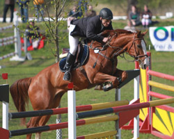Lars Köhler war der "Platzhirsch" in Poseritz, gewann zwei Springen darunter den Großen Preis auf Polido. Foto: Jutta Wego