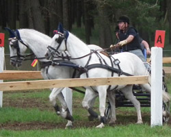 Landesmeister Jörg Cröger aus Schwinkendorf sicherte mit Alina und Ruben auf dem 3. Platz den Sieg in der Mannschaftswertung beim Norddeutschen Ländervergleich in Klein Marzehns. Foto: Jutta Wego
