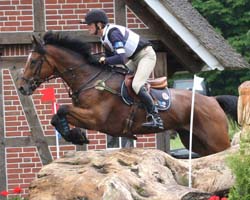 Bronze in der Deutschen Meisterschaft holte Frank Ostholt (Warendorf) mit Little Paint. Foto: Lohrmann