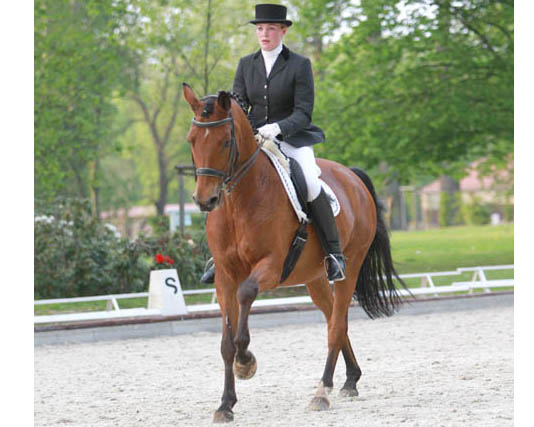 Helena Reppin konnte sich in Hagen mit Repertoire in der Finaldressr der Jungen Reiter auf Rang 6 platzieren. Foto: Wego