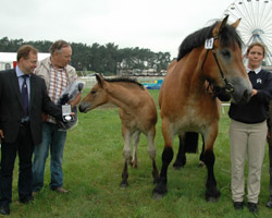 Claudia Huschka präsentierte die Louis / Nerlinger Fohlen von Günter Lüdders aus Laschendorf (links) in Brück, die beide den Sieg davon trugen. Foto: Schöning