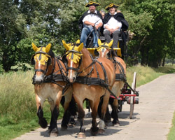Mail Coach mit René Drews im Naturpark Westhavelland. Foto: Schöning