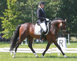 Siegrin in der Dressurpferdeprüfung wurde Anne Groß auf Hattrik B und Zweiter mit Hero (Foto) in der A-Dressur. Foto:Wego