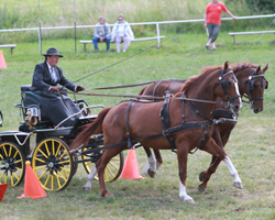 Landwirt Hans-Werner Meyer aus Saal gewann das Hindernisfahren der Zweispänner. Foto: Wego