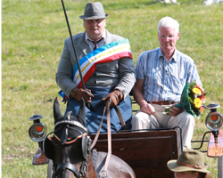 Rainer Jönssen wurde in Alt Bukow Kreismeister der Einspänner des Landkreises Rostock. Foto: Wego