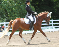 Siegerin der Dressurreiterprüfung und Zweite in der Quali zur Dressur-Chance 2012 wurde Jolanda Becker auf Pony Diskaro. Foto: Wego