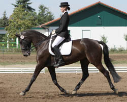 Annika Winter platzierte sich mit Herzensglut (Foto) in den L-Dressuren von Spoitgendorf und siegte am Sonntag mit Kristall. Foto: Wego