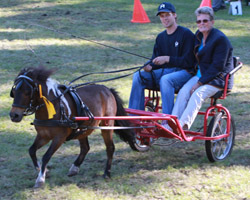 Der Torgelower Philipp Lange - hier mit Zeitnehmerin und Turnierfotografin Jutta Wego auf der Ehrenrunde, startete mit seinem Pony Harry Potter in den Fahrprüfungen und platzierte sich zweimal. Foto: Franz Wego