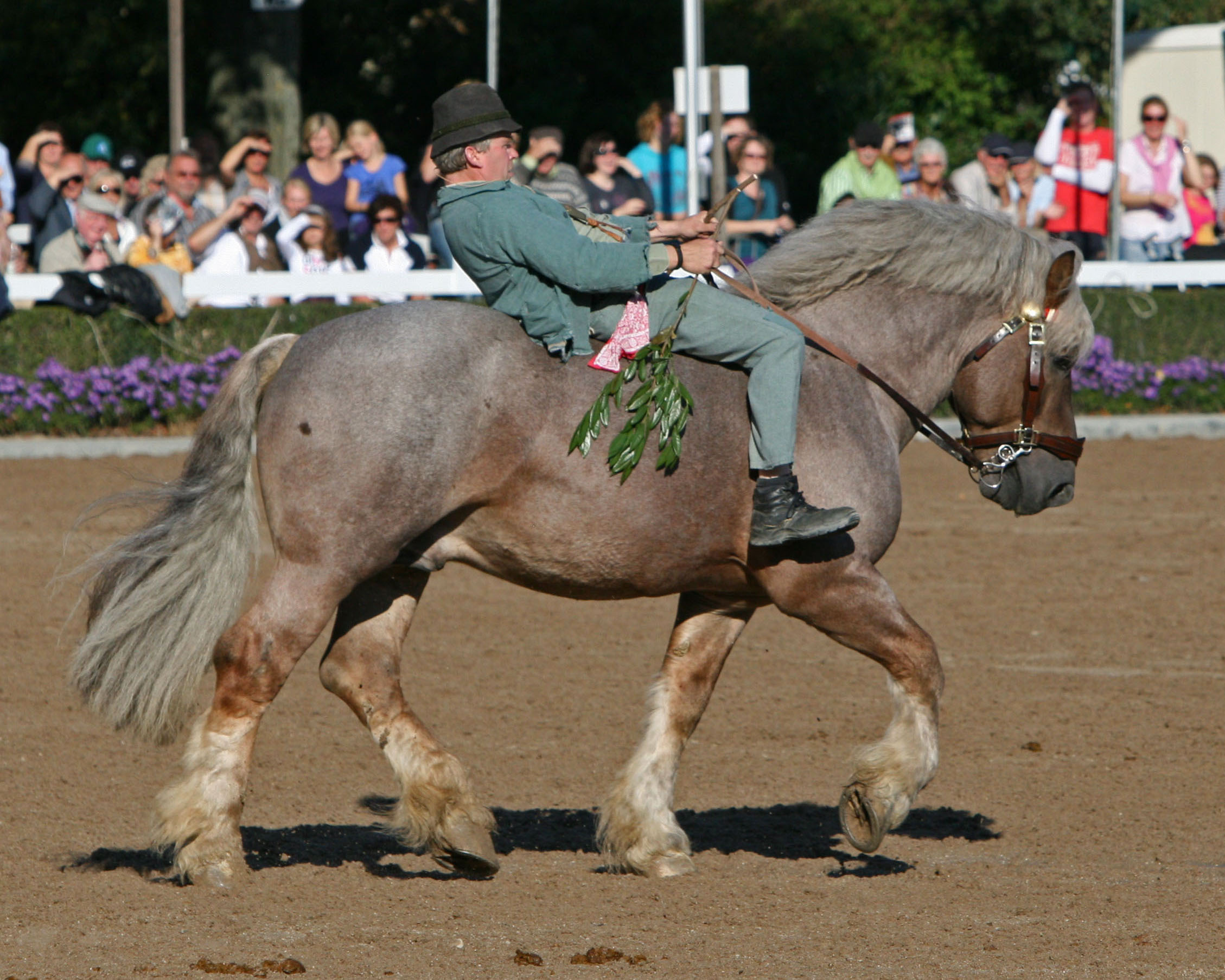 Auch der Warendorfer Georg August Schulte Quaterkamp wird dabei sein und die Reitausbildung etwas auf die Schippe nehmen. Foto: Stephanie Borggreve